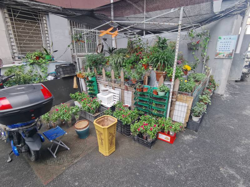 白楼小区园区图片