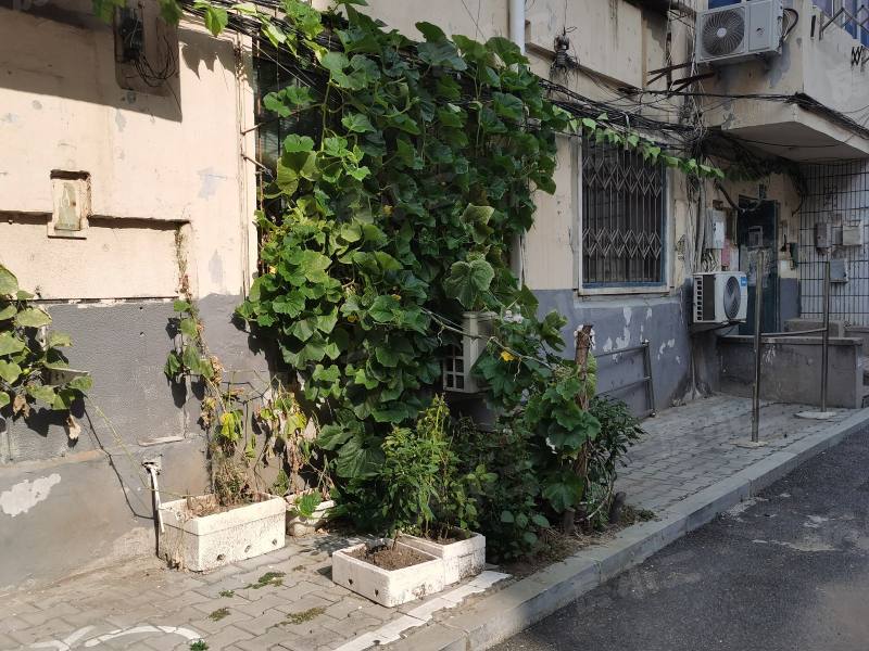 桂林社区园区图片