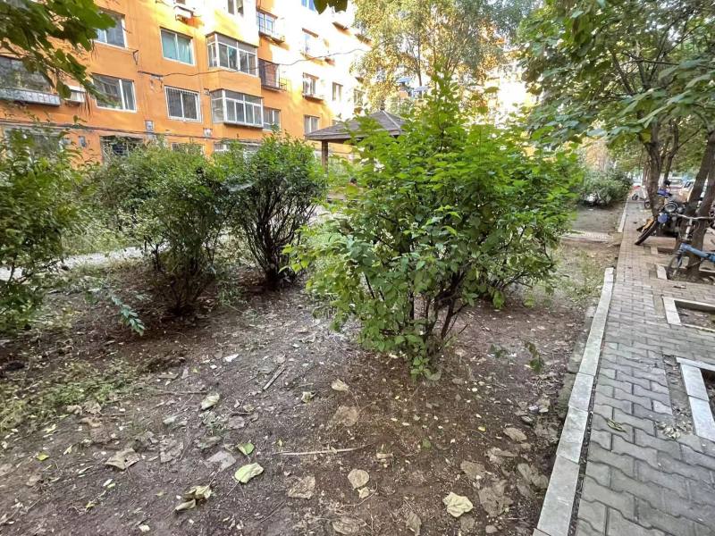 新光厂体育场小区园区图片