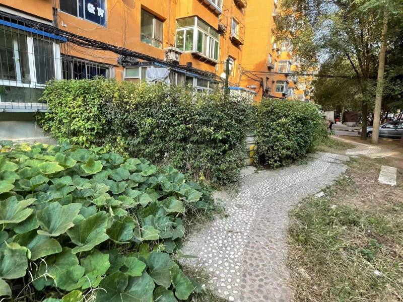 新光厂体育场小区园区图片