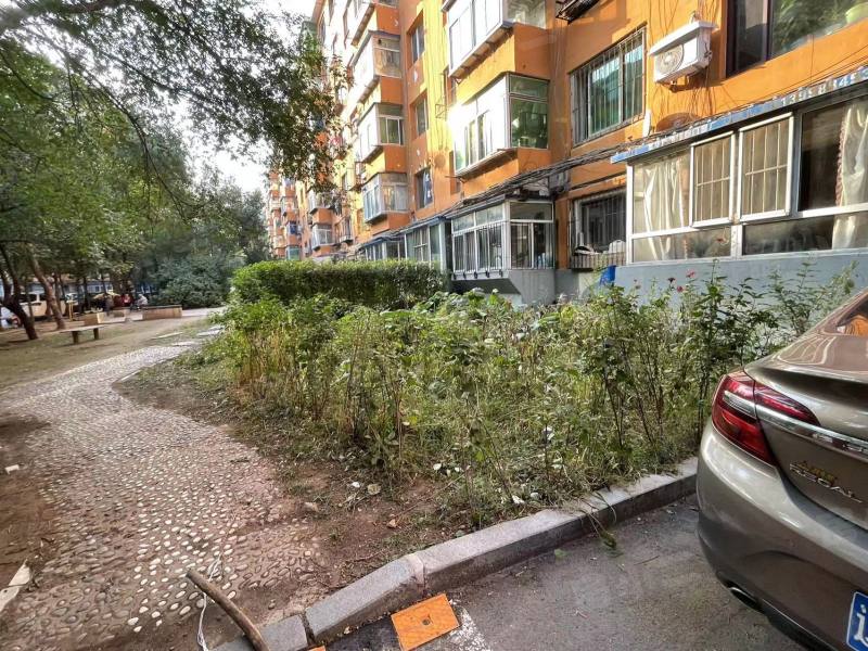 新光厂体育场小区园区图片