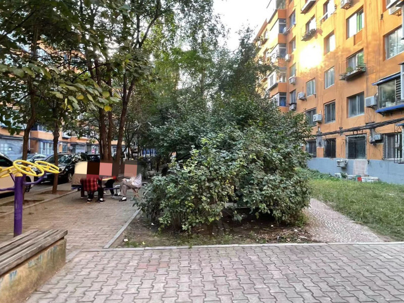 新光厂体育场小区园区图片