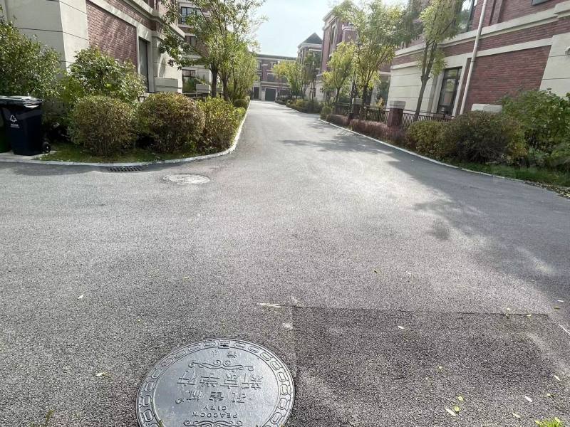 孔雀城新京学府园区图片