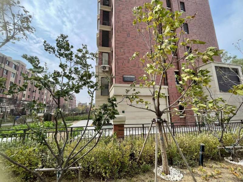 孔雀城新京学府园区图片