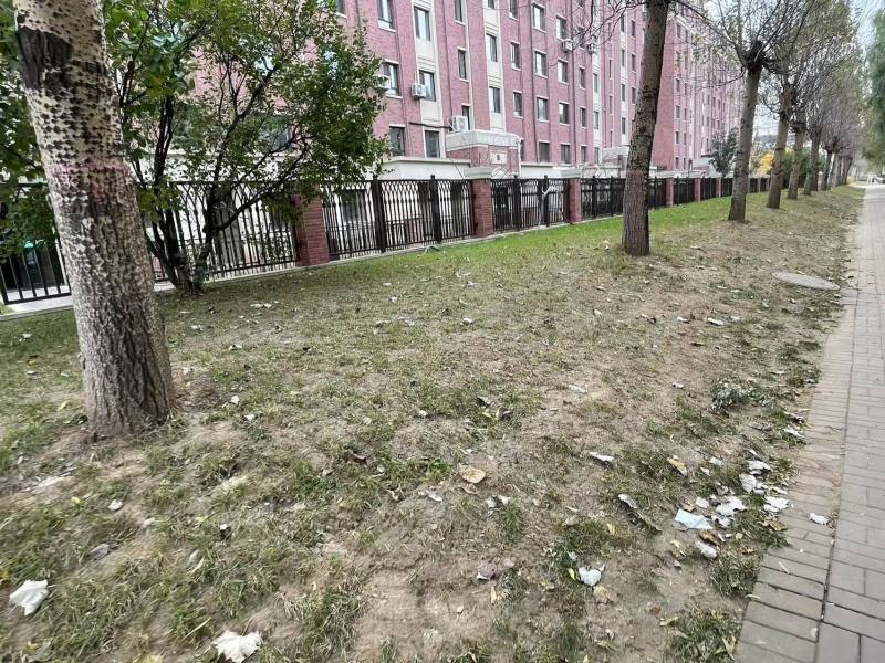 孔雀城新京学府园区图片