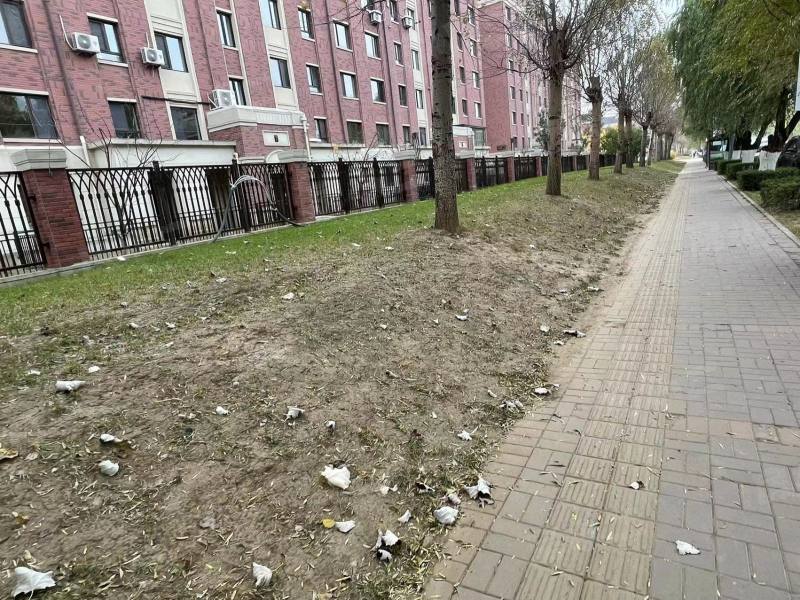 孔雀城新京学府园区图片