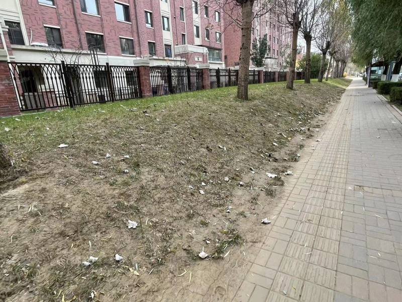 孔雀城新京学府园区图片