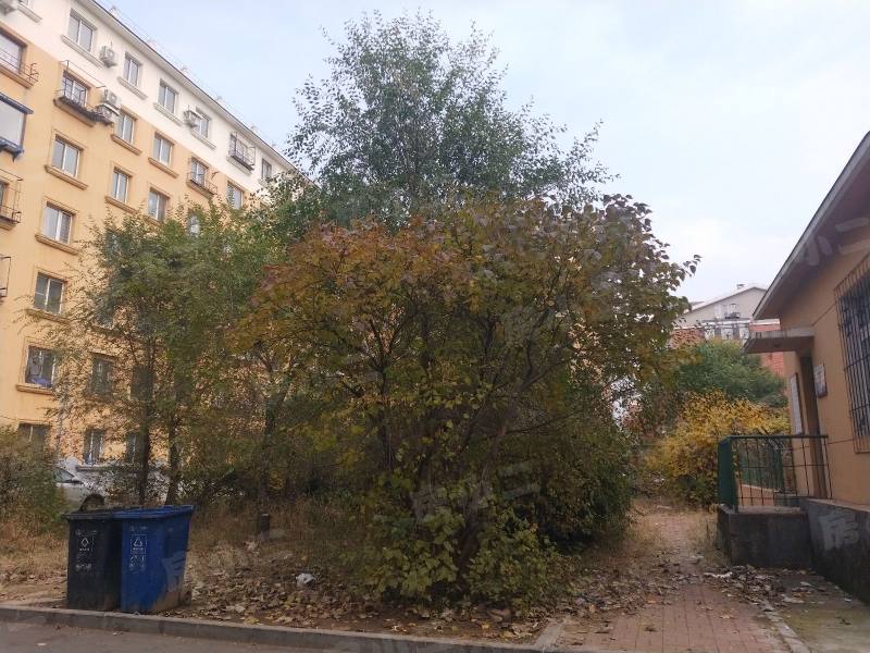 沈铁十二路小区园区图片