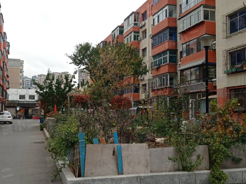 政发小区园区图片