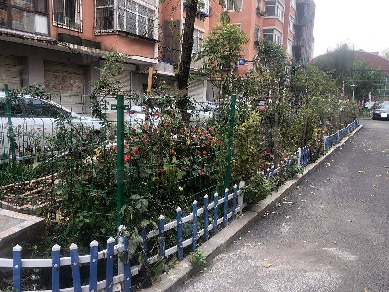 桐杉家园园区图片