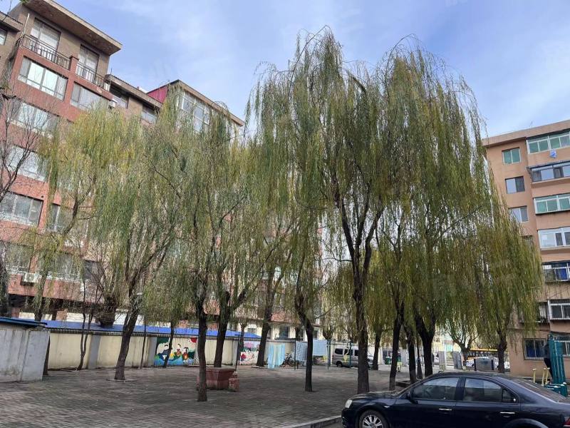 星光社区园区图片