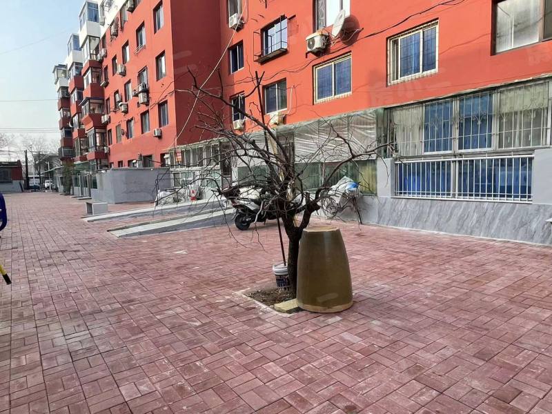 芙蓉北街小区园区图片