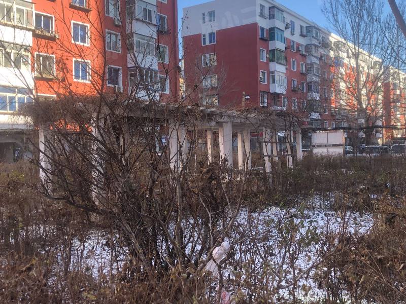 泾河街6号小区园区图片