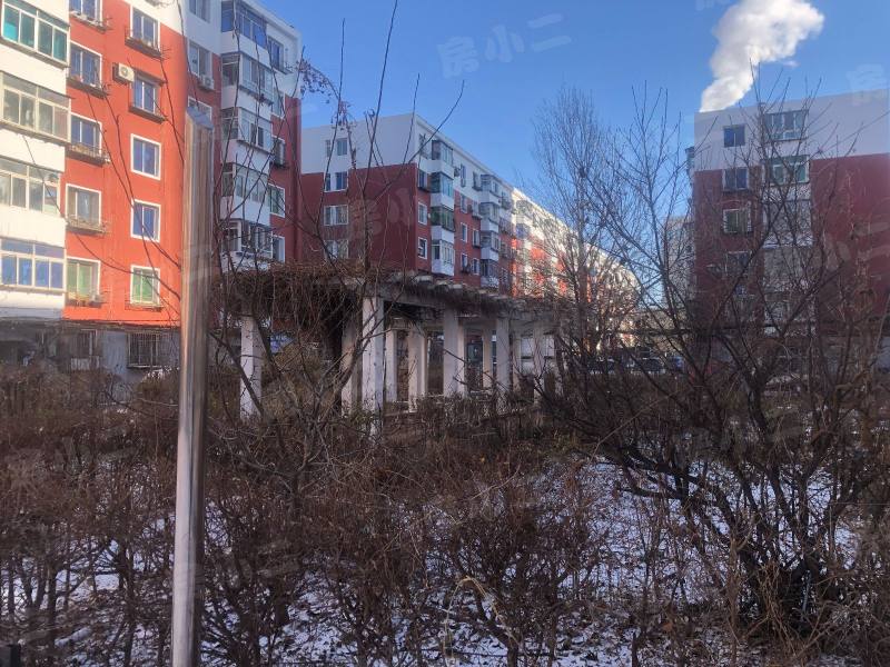 泾河街6号小区园区图片