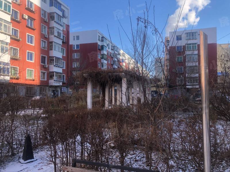 泾河街6号小区园区图片