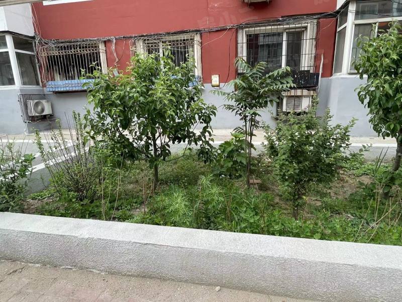 细河小区园区图片