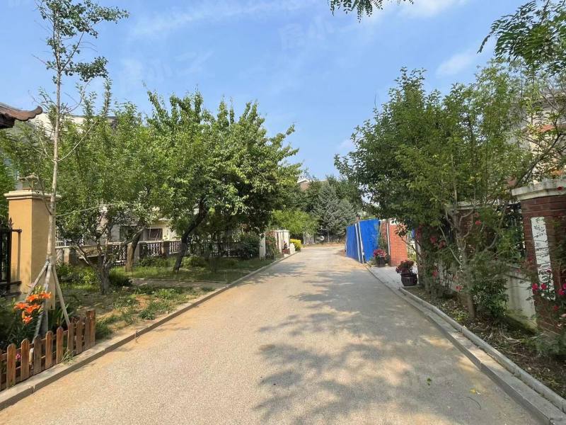 奥林匹克花园园区图片