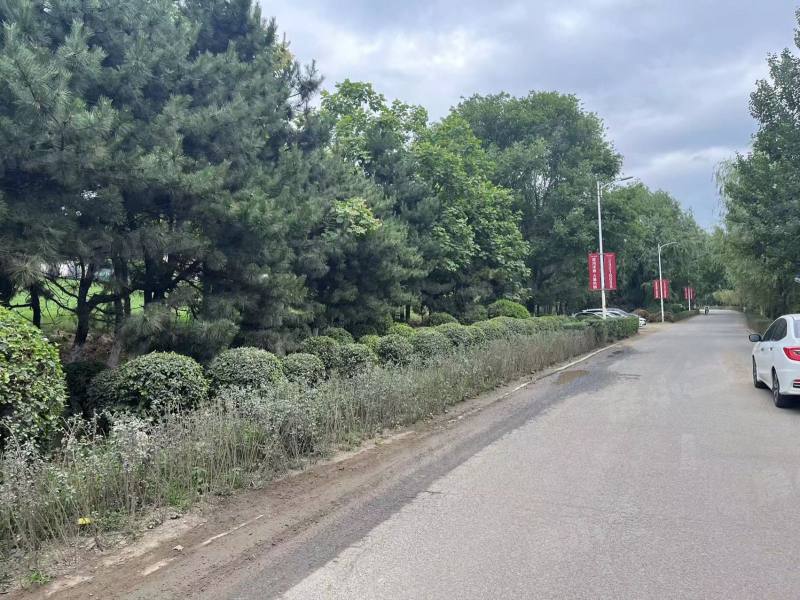 龙湖双珑原著一期园区图片