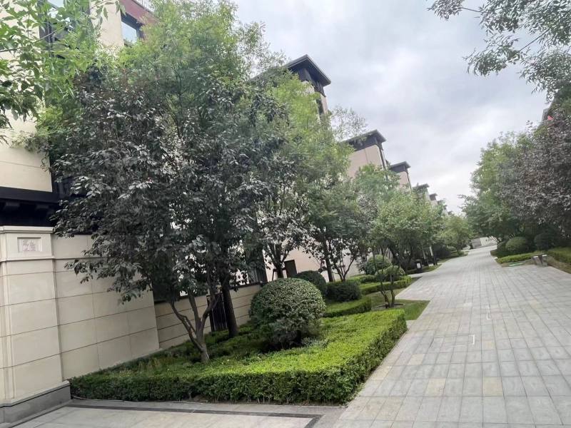 龙湖双珑原著二期园区图片