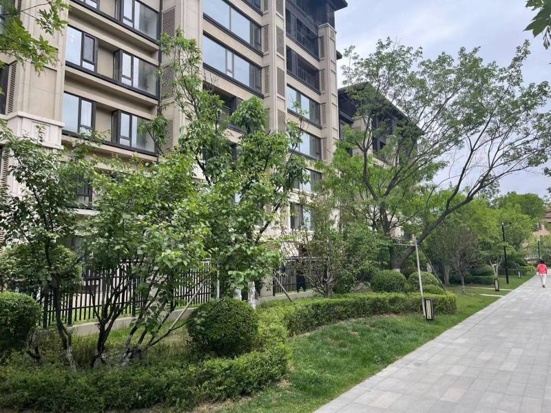 龙湖双珑原著二期园区图片