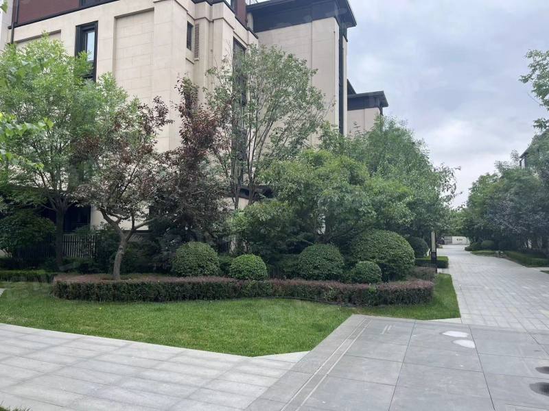 龙湖双珑原著二期园区图片