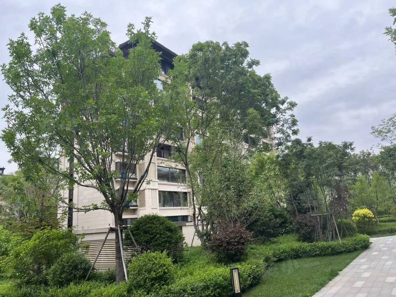 龙湖双珑原著二期园区图片