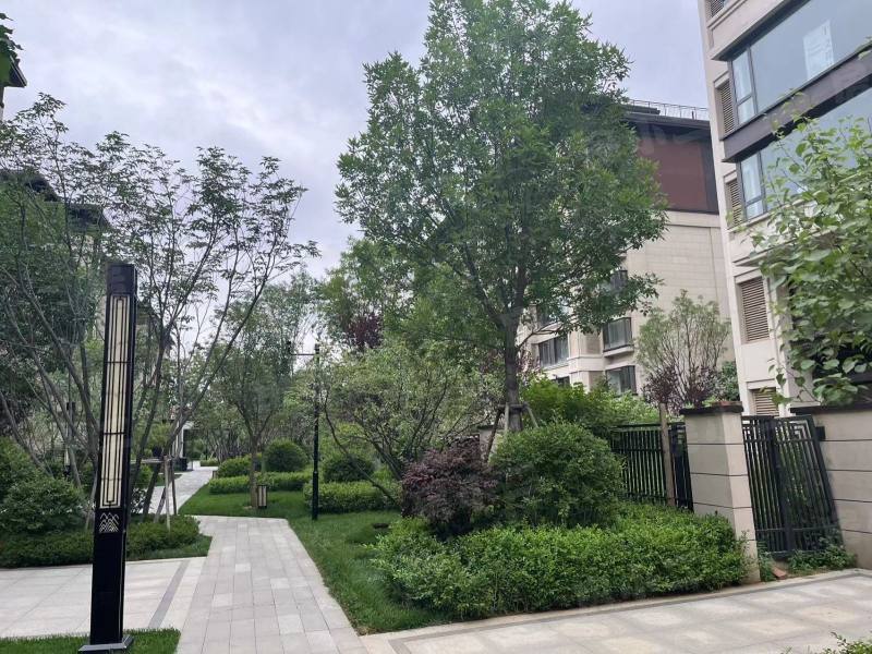 龙湖双珑原著二期园区图片