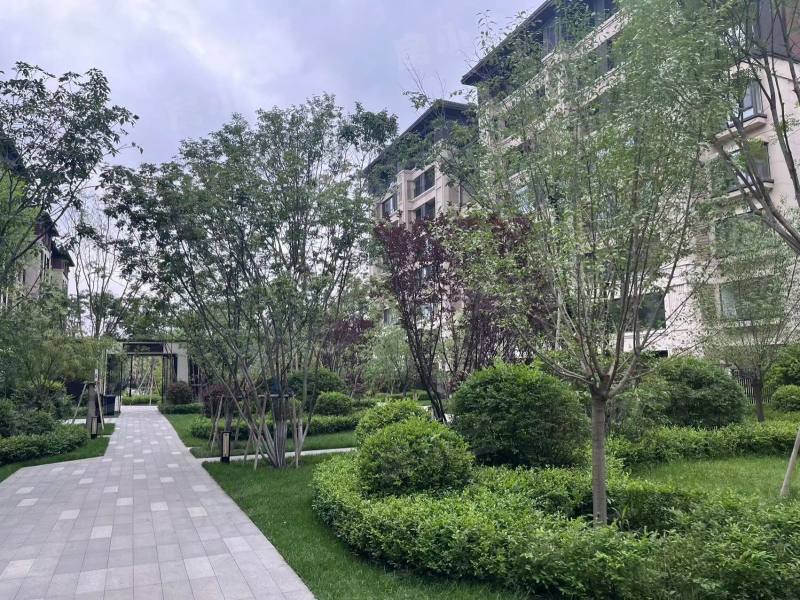 龙湖双珑原著二期园区图片