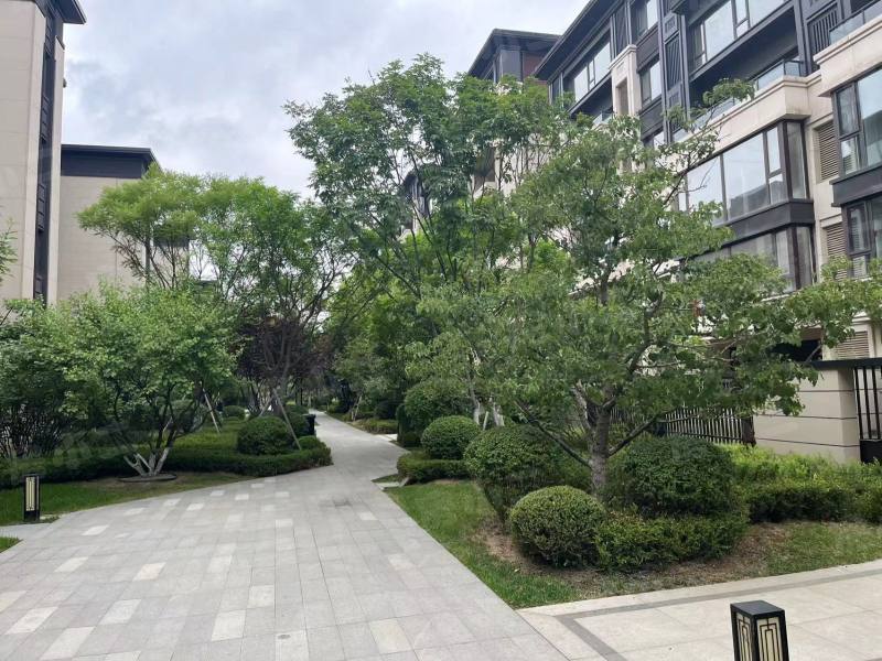 龙湖双珑原著二期园区图片