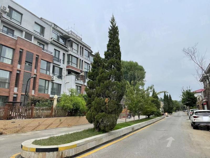 泰盈九如溪谷别墅园区图片