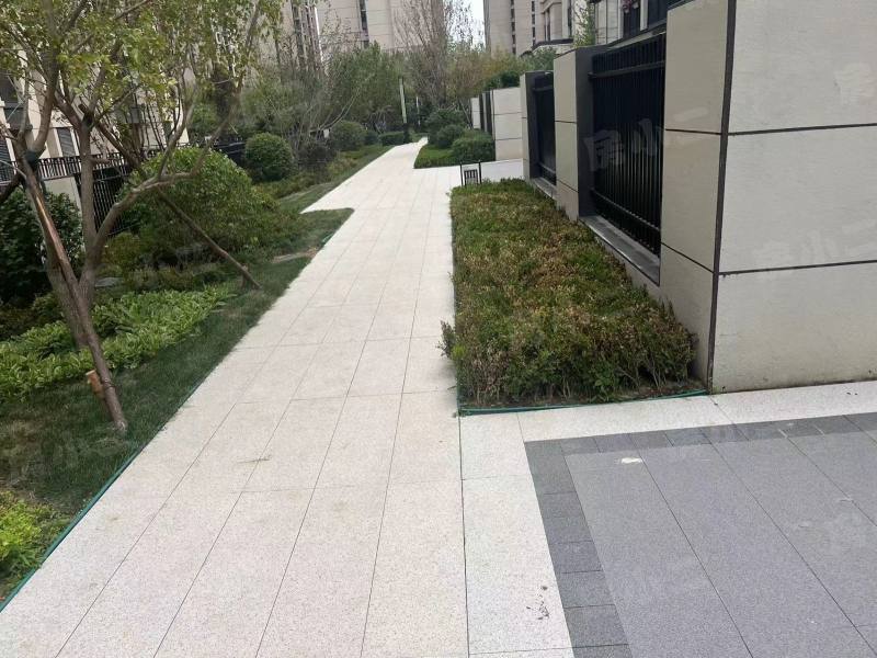 中金樾府园区图片