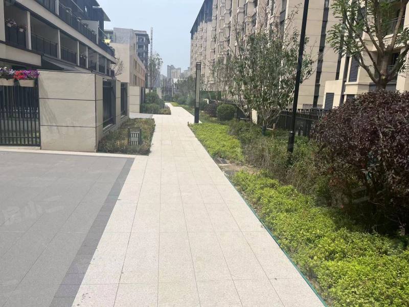 中金樾府园区图片