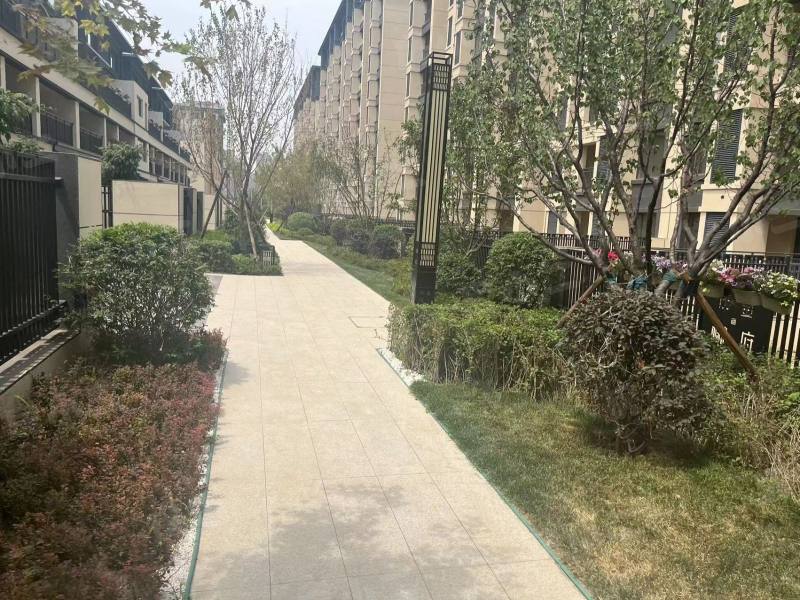 中金樾府园区图片