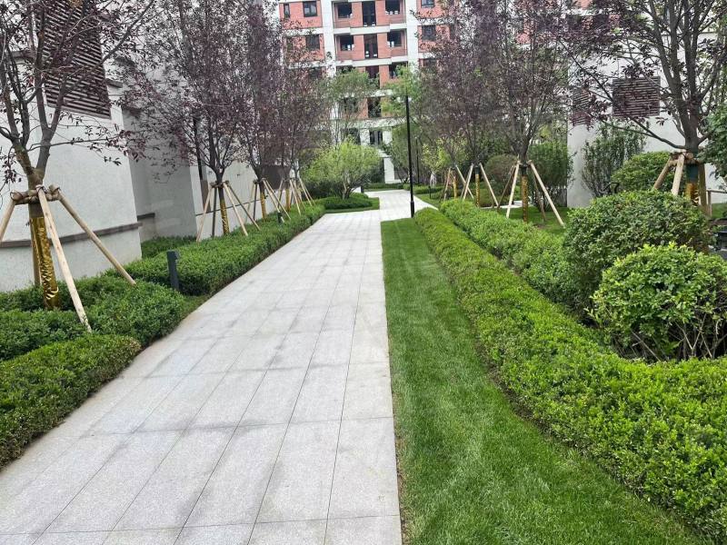 华润置地时代之城园区图片