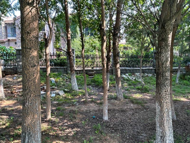 亿达玖墅园区图片