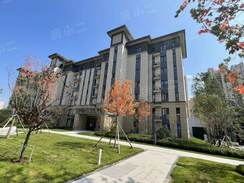 碧桂园星樾时代园区图片