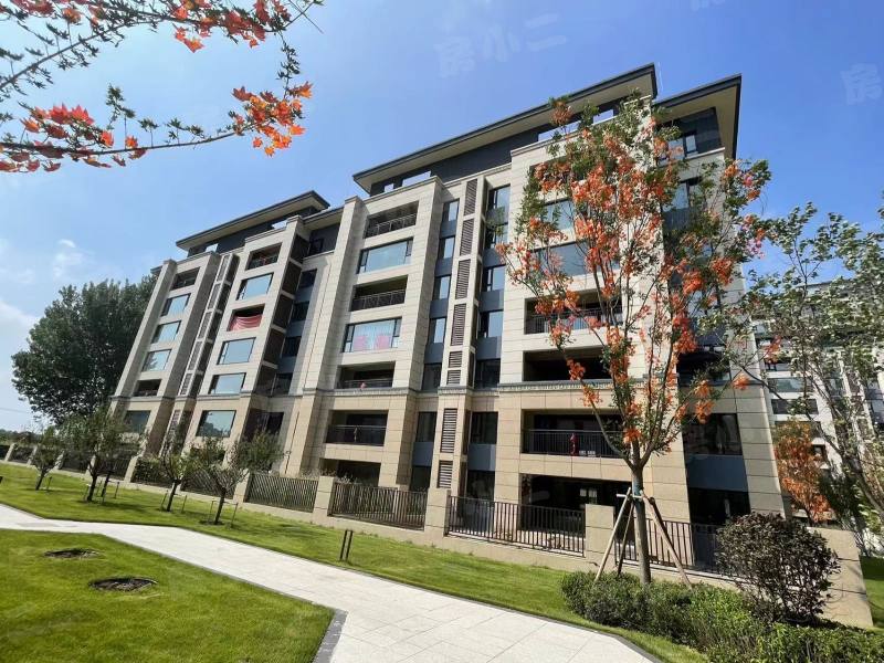 碧桂园星樾时代园区图片