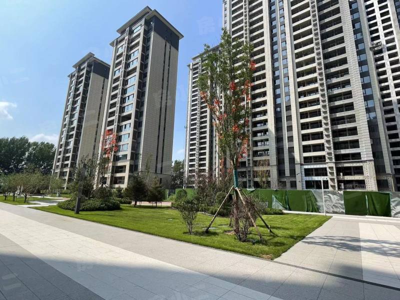 碧桂园星樾时代园区图片