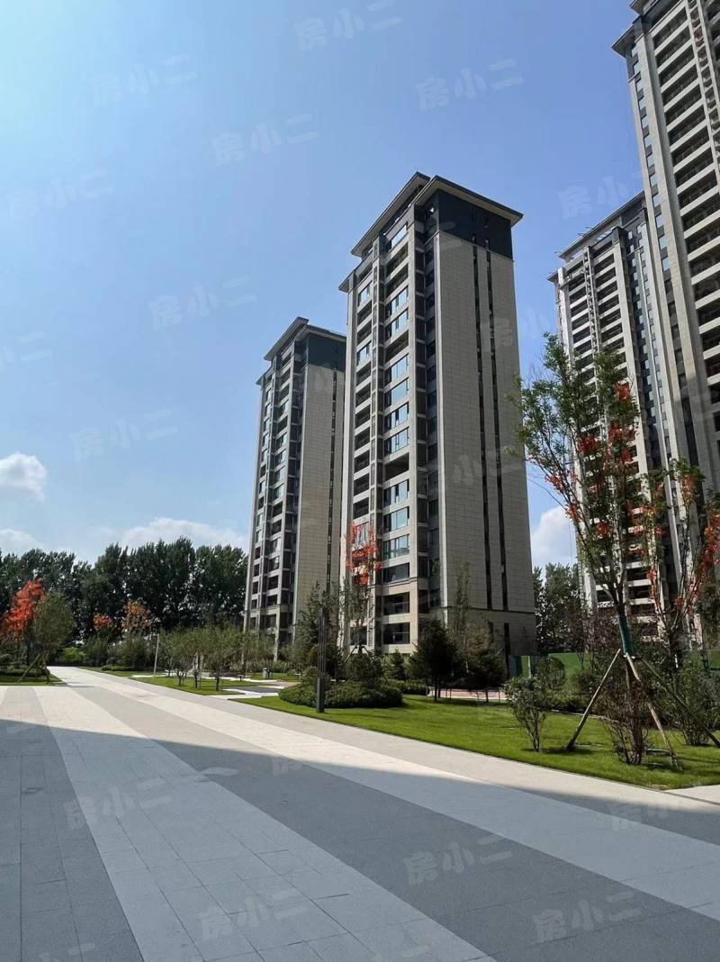 碧桂园星樾时代园区图片
