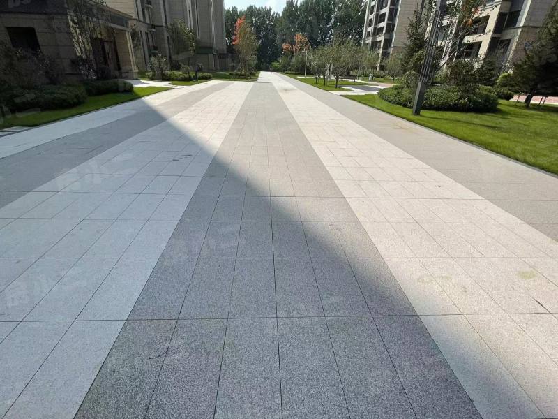 碧桂园星樾时代园区图片