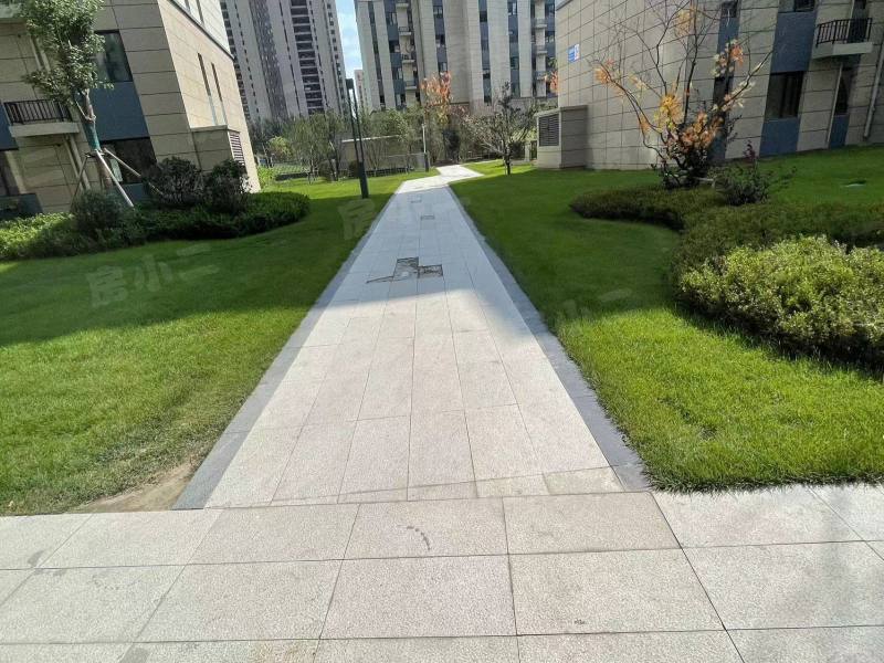 碧桂园星樾时代园区图片
