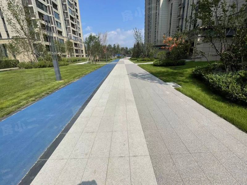 碧桂园星樾时代园区图片