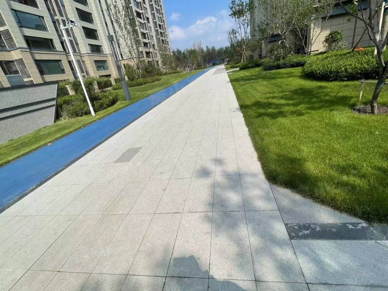 碧桂园星樾时代园区图片