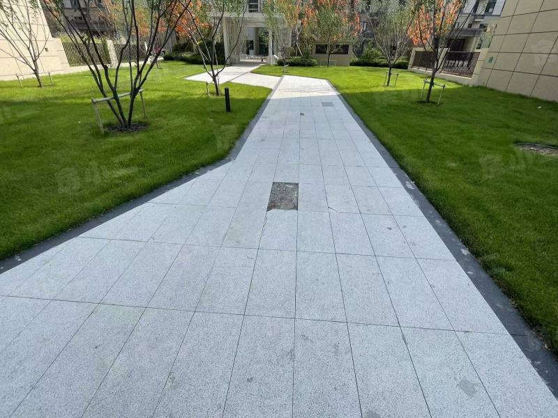 碧桂园星樾时代园区图片