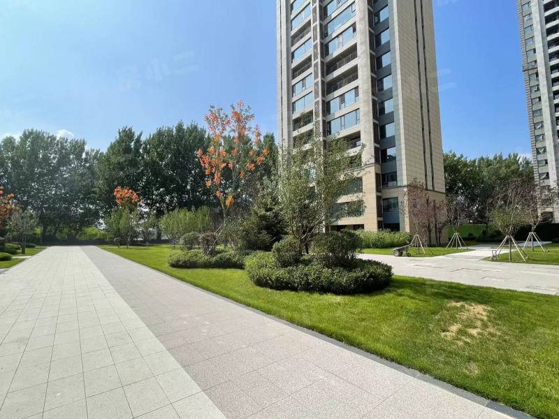 碧桂园星樾时代园区图片