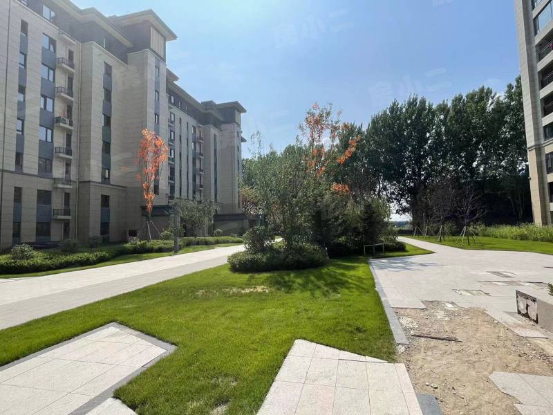碧桂园星樾时代园区图片