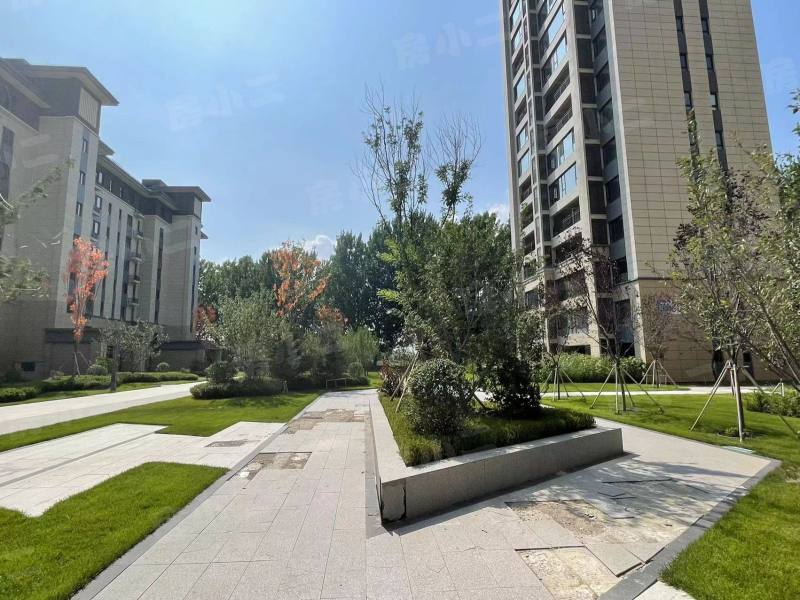 碧桂园星樾时代园区图片