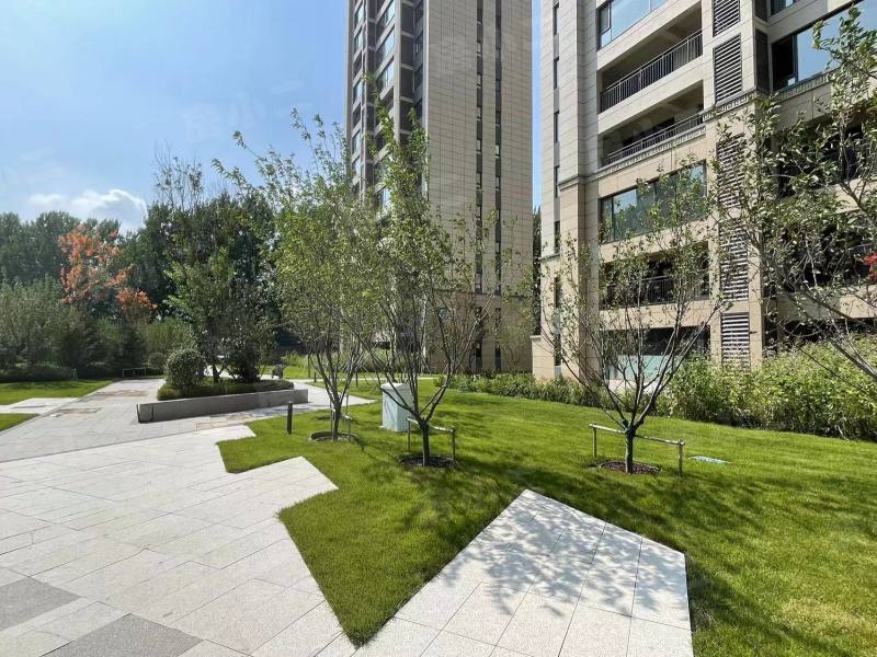 碧桂园星樾时代园区图片