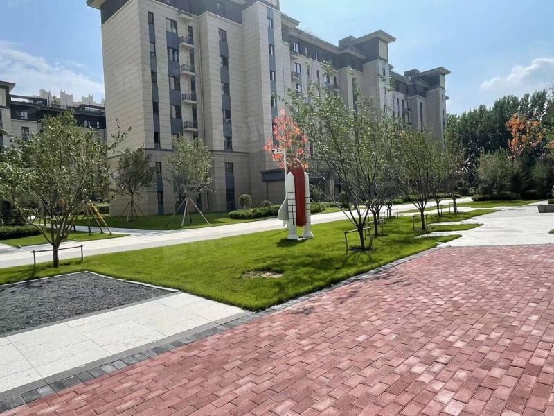 碧桂园星樾时代园区图片