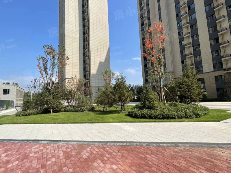 碧桂园星樾时代园区图片